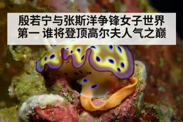 殷若宁与张斯洋争锋女子世界第一 谁将登顶高尔夫人气之巅