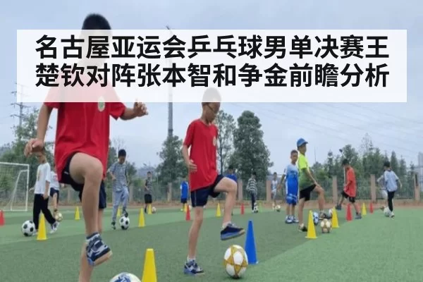 名古屋亚运会乒乓球男单决赛王楚钦对阵张本智和争金前瞻分析